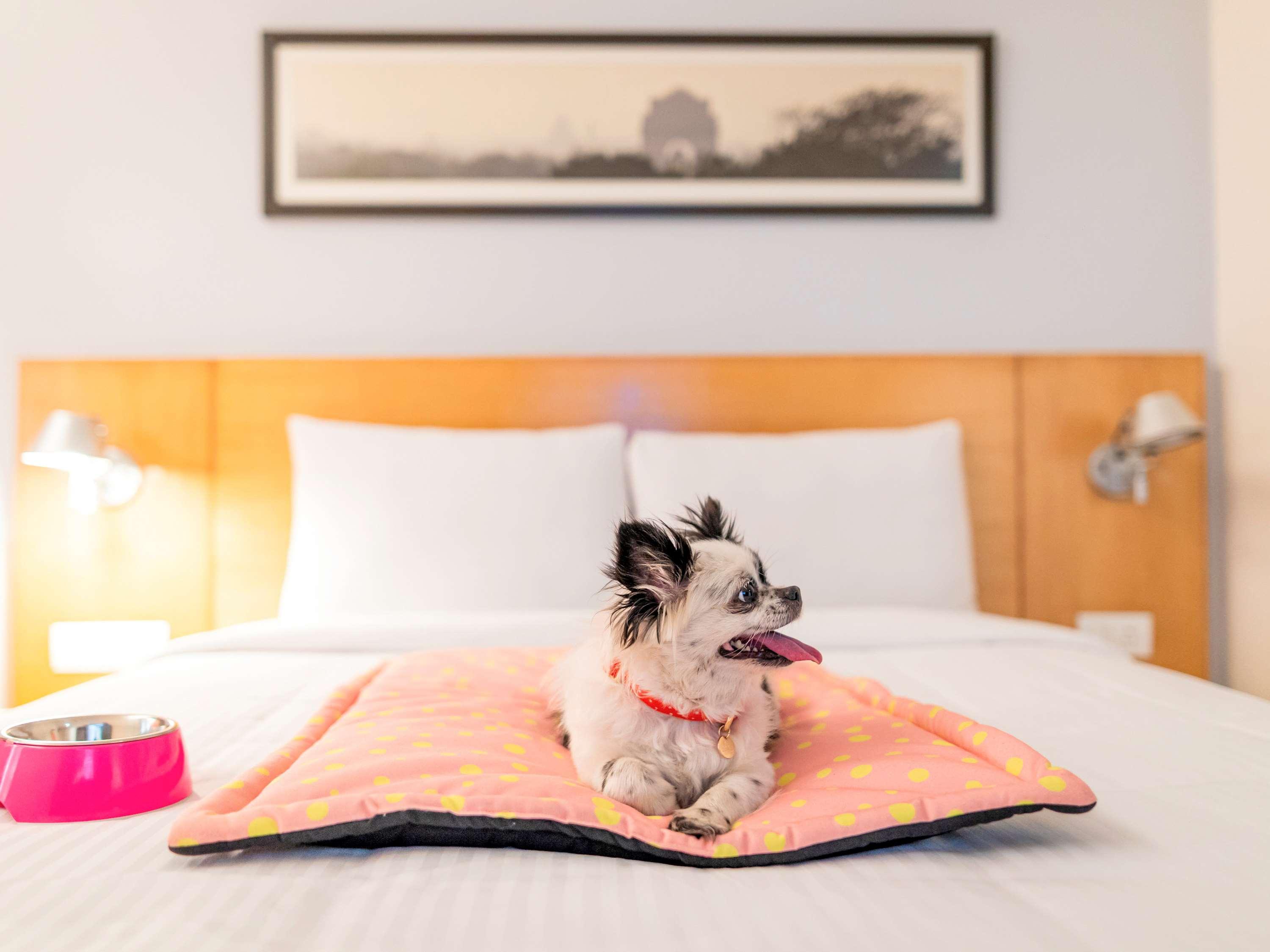 Ibis Coimbatore City Centre - An Accor Brand Luaran gambar